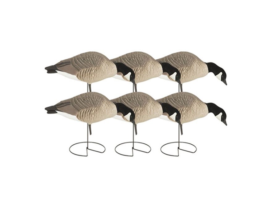 GHG Hunter Series Feeder Lesser Full Body Canada Goose Decoy 6PK