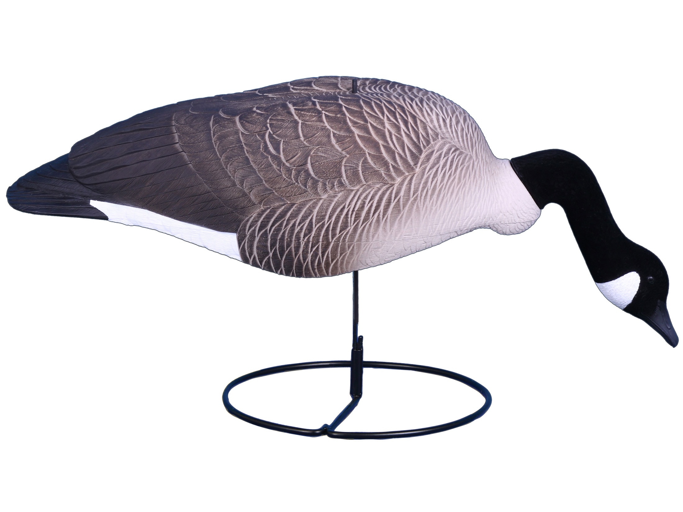 Super magnum canada discount goose shell decoys