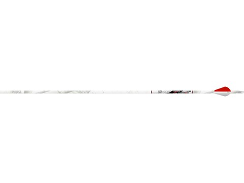vanes ics xpv beman arrow