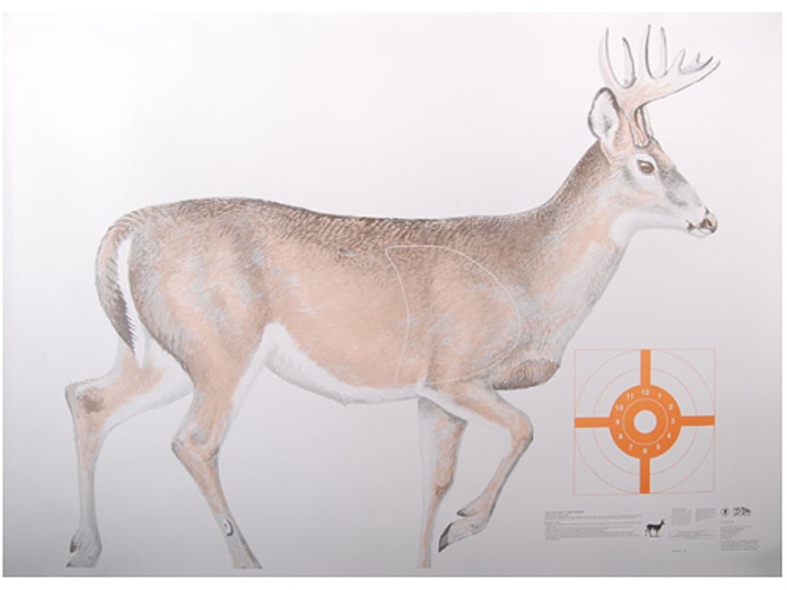 2 folded HF 07940 60" x 42" NRA Whitetail Deer Life-Size Game Targets 