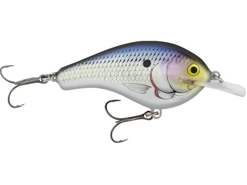 Bagley Flat Balsa B2 Crankbait