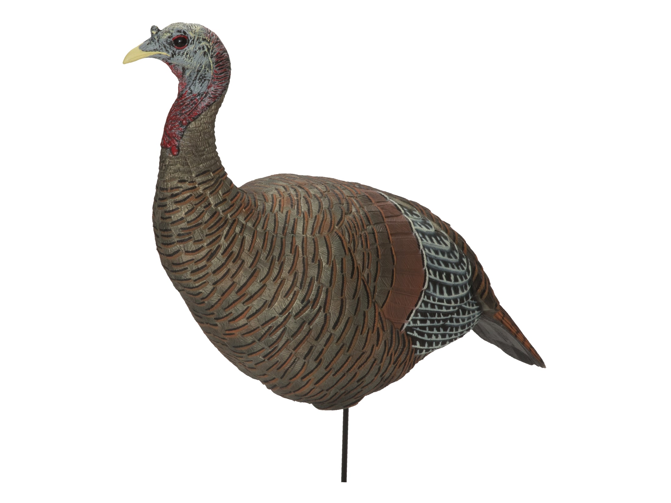 GHG Upright Hen Eastern Turkey Decoy