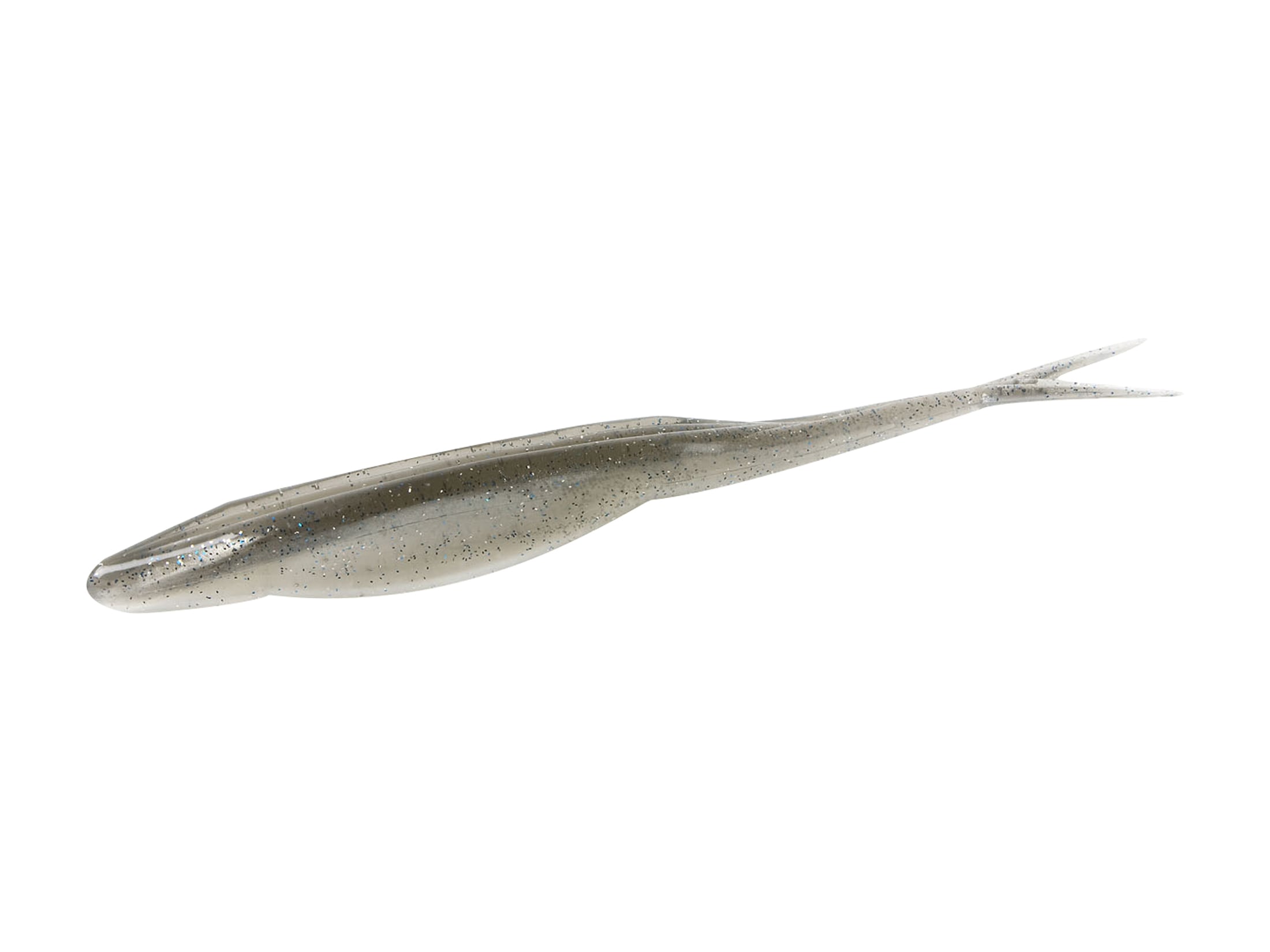 fluke worm fluke worm