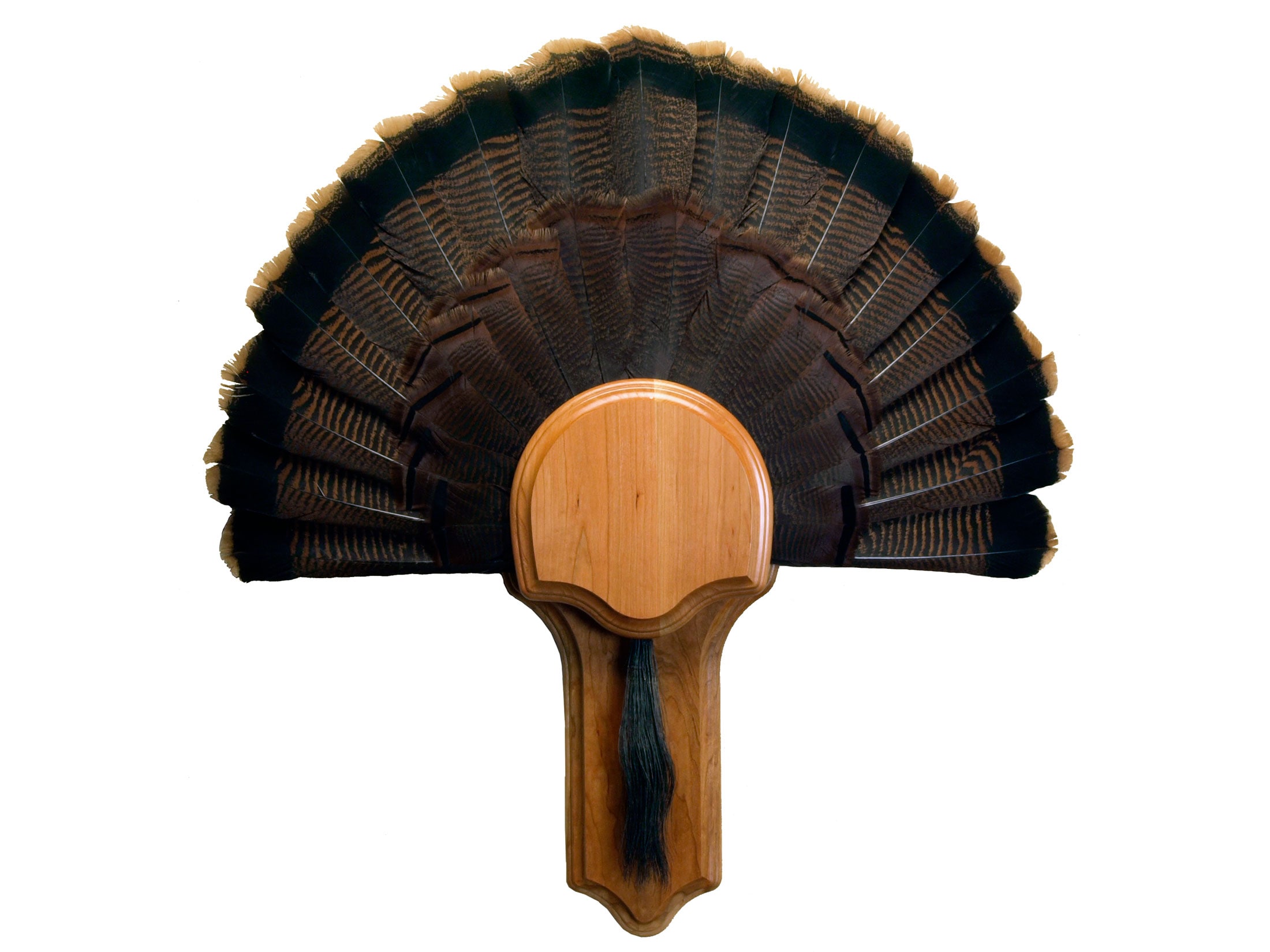 Walnut Hollow Country Deluxe Turkey Mounting Kit Cherry