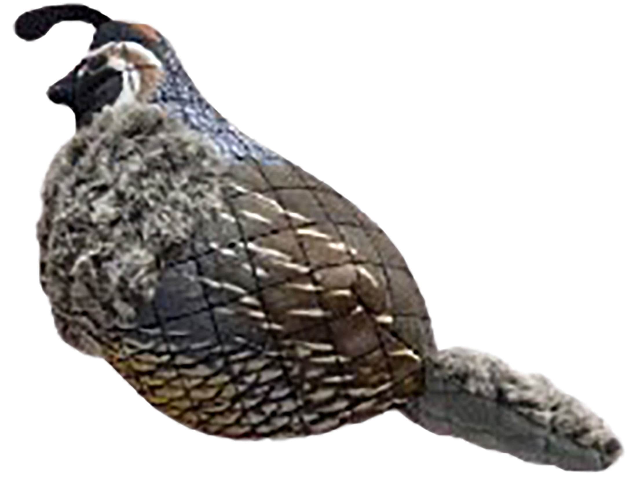 ROCT Outdoor Quail Dog Toy