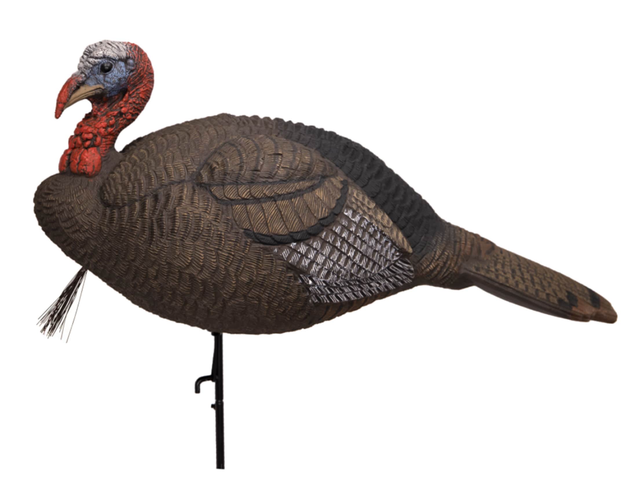 Lucky Duck Collapsible Jake Turkey Decoy
