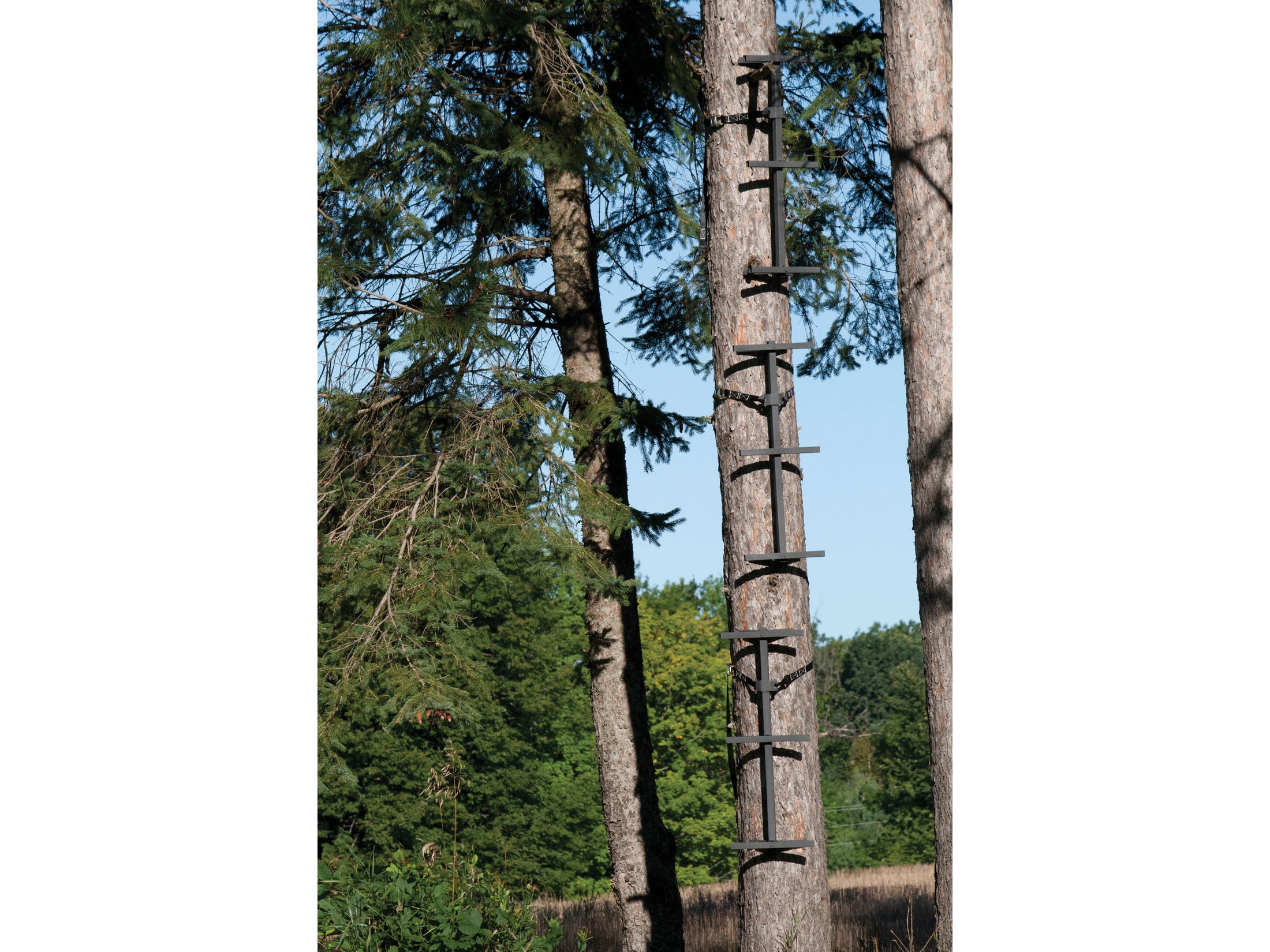 Rivers Edge Fast Stick Climbing Stick Steel Gray 3PK