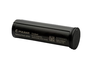 Batterie APS 2 - Piles Spécifiques Incluses, Neuve, Dimensions 3x1x1 Pouces, Biélorussie