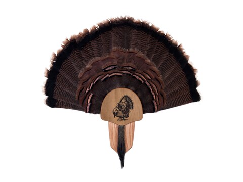 Walnut Hollow Country Turkey Mounting Kit Full Fan