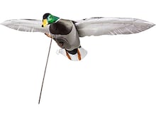 Duck Decoys in Hunting Gear