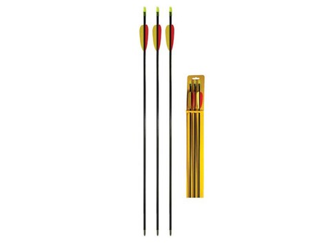 Daisy 26" Youth Target Fiberglass Arrow 3" Vanes Black Pack of 3