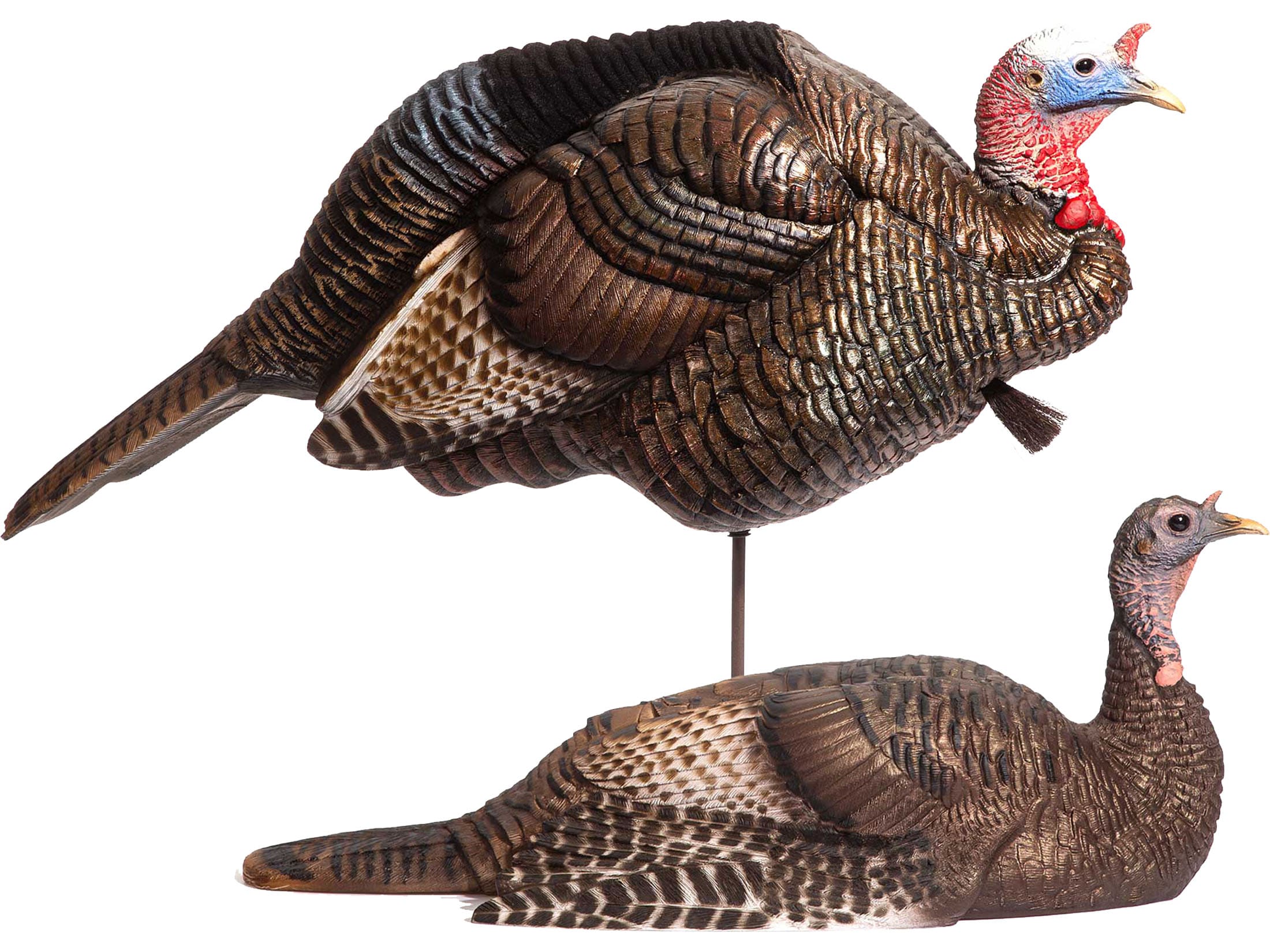 Dave Smith Decoys DSD Breeding Pair Turkey Decoy