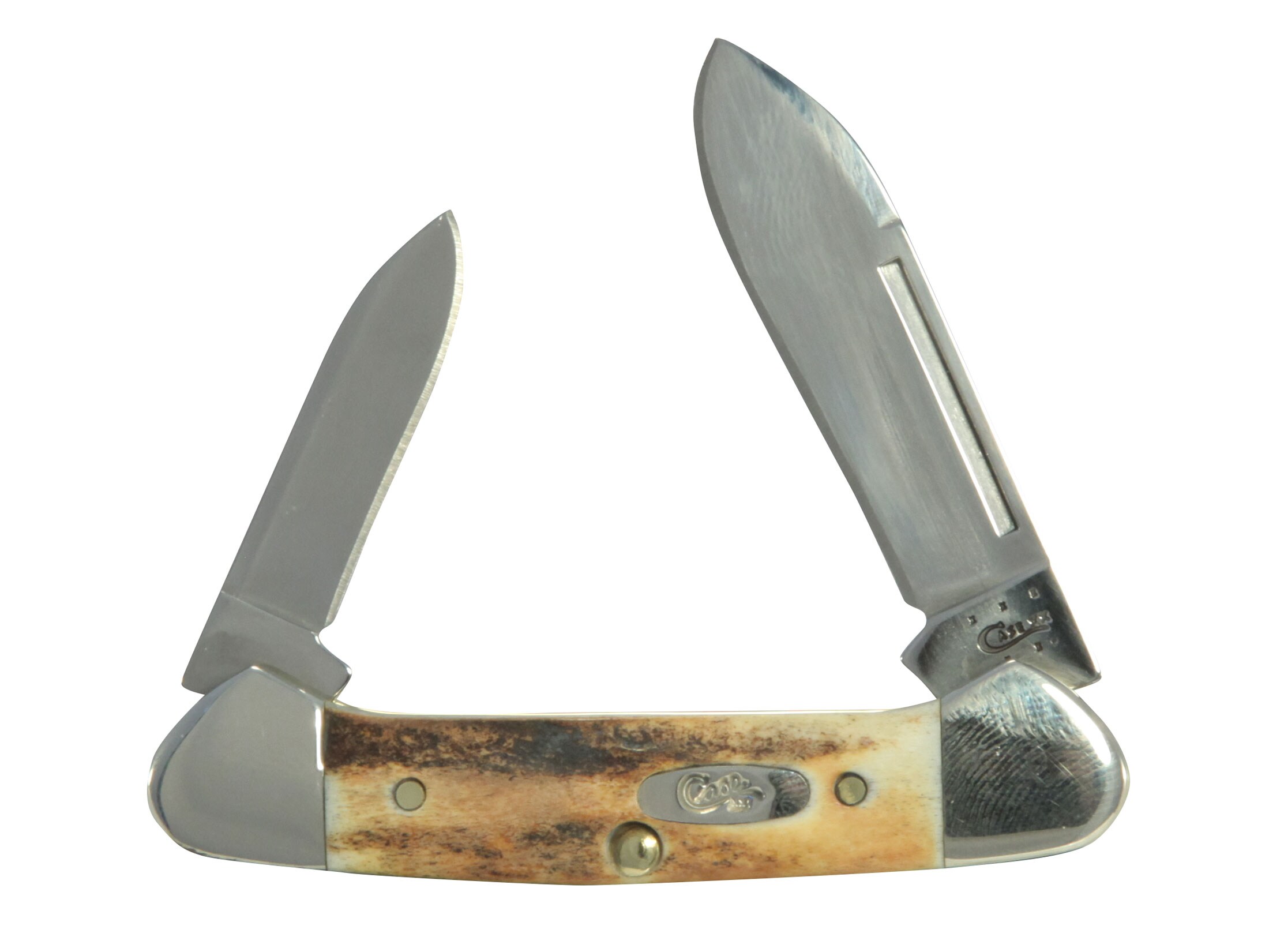 Case Baby Butterbean Folding Pocket Knife 2Blade Spey Points SS