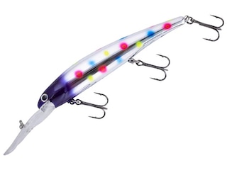 best fishing pole for the money Best Fishing Rods and Gear for the Budget Fisher
