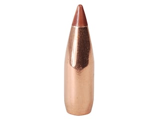 Product Comparison for Hornady Varmint NTX 20 Caliber (204 Diameter ...