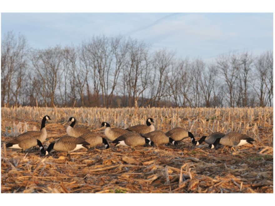 GHG Tim Newbold Signature Series Fully Flocked Lesser Goose Decoys