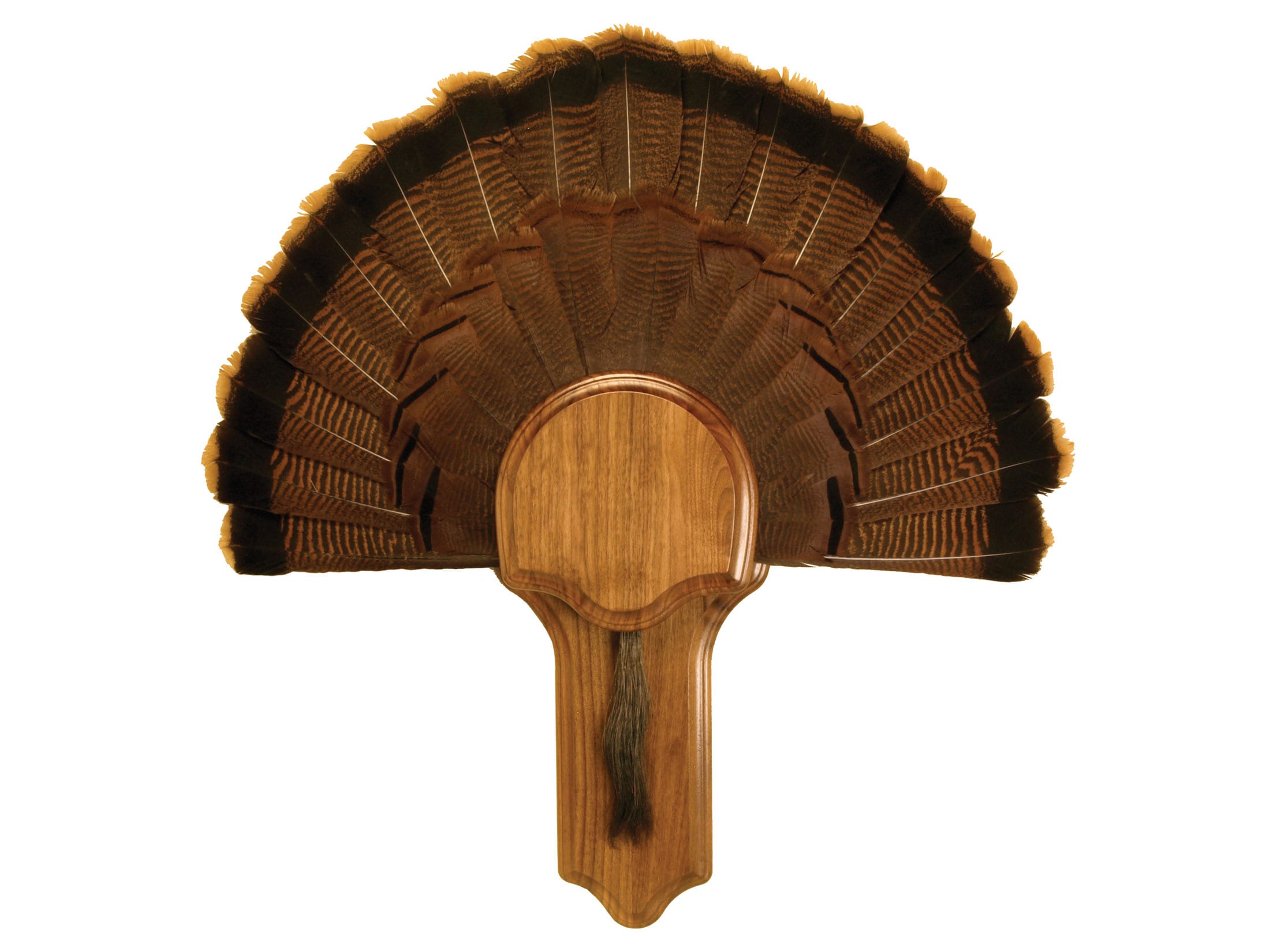 Walnut Hollow Country Deluxe Turkey Mounting Kit Oak Full Fan