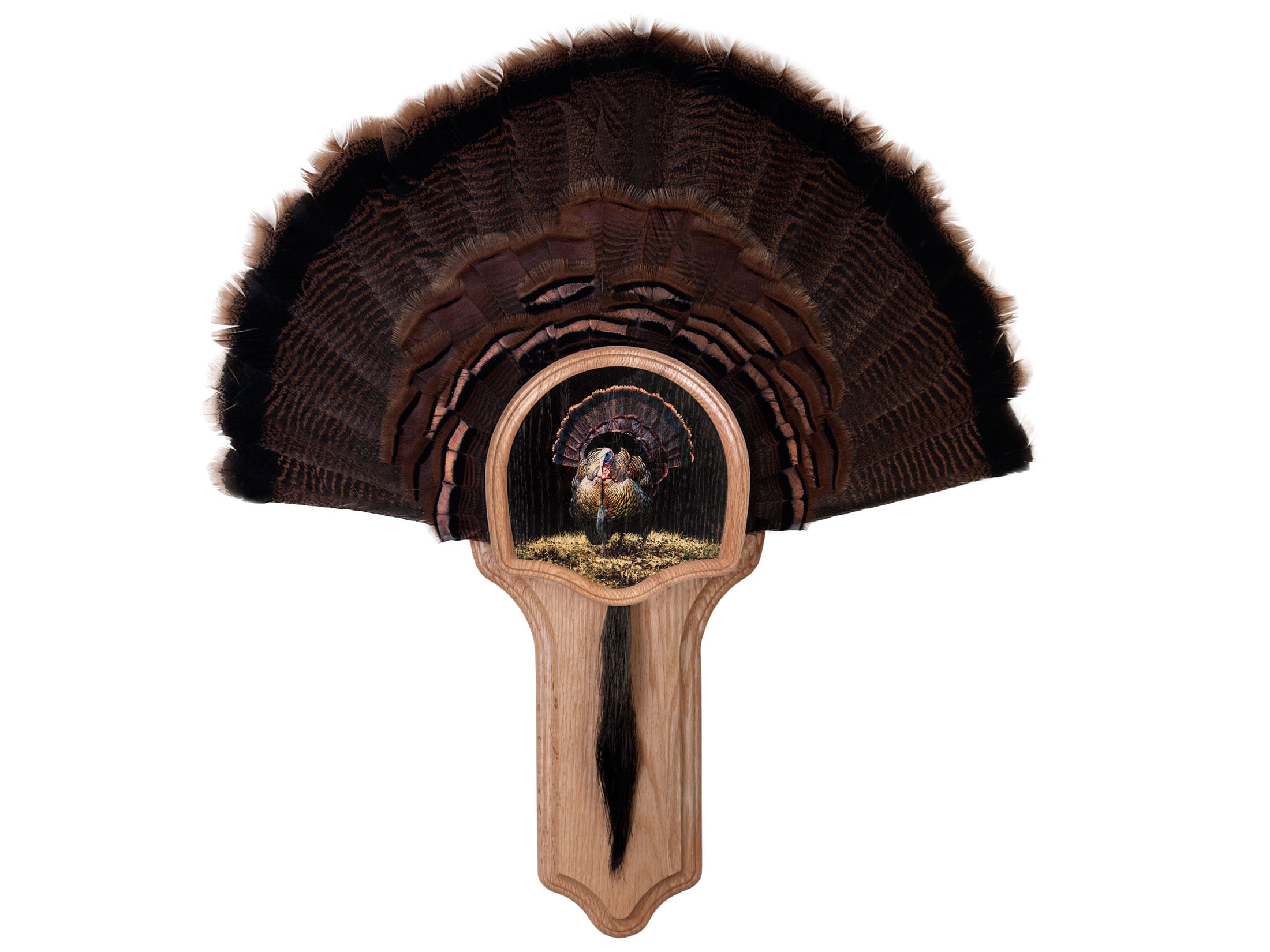 Walnut Hollow Country Deluxe Turkey Mounting Kit Oak Full Fan