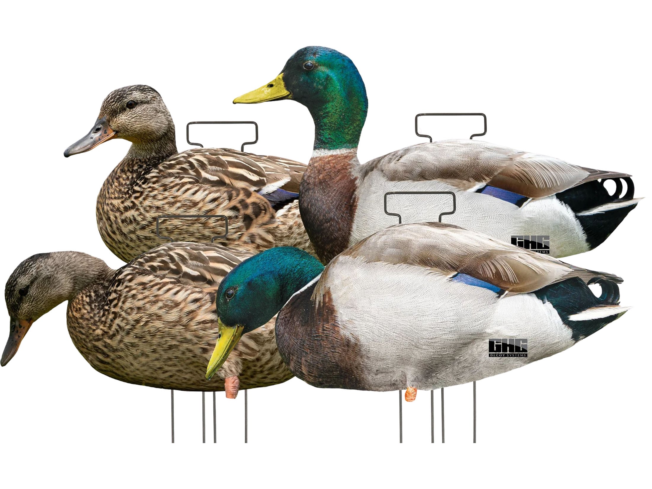 GHG Fully Flocked Silhouette Mallard Duck Decoys