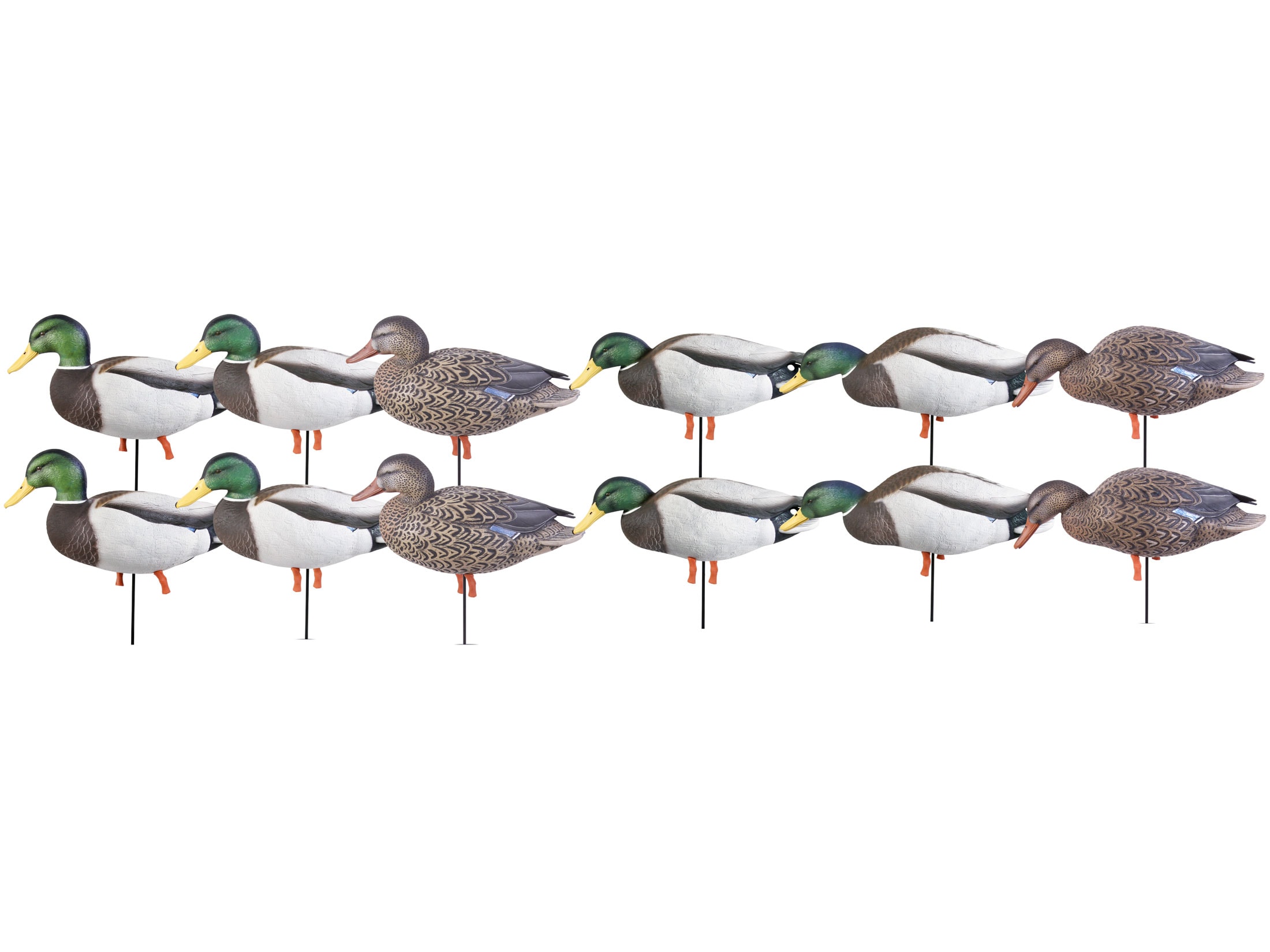 GHG ProGrade January Mallard Full Body Duck Decoys Harvester Pack of