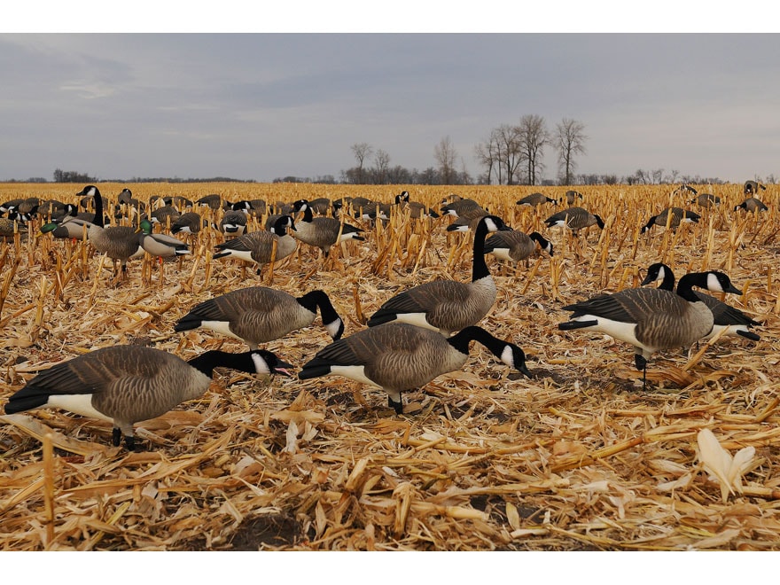 GHG ProGrade Full Body Honkers Goose Decoys Harvester 6PK