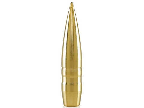 Lehigh Defense Match Solid Bullets 416 Caliber (416 Diameter) 416 Grain Solid Brass Boa...