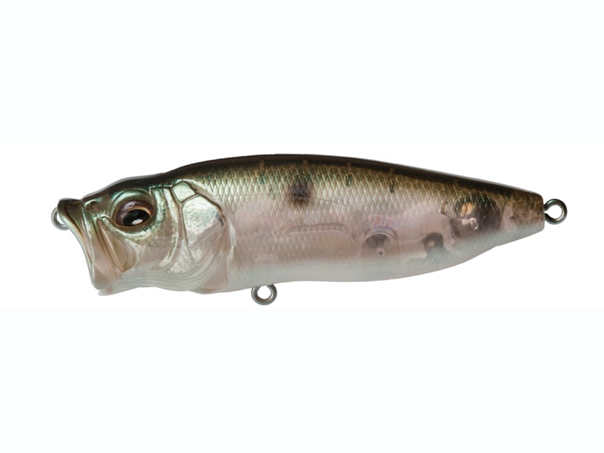 Megabass Popmax Topwater GP Baby Kingyo