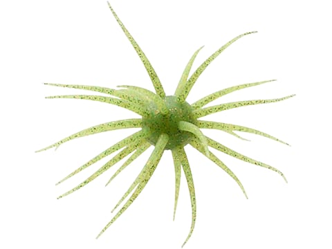 Fishing Lures in Fishing