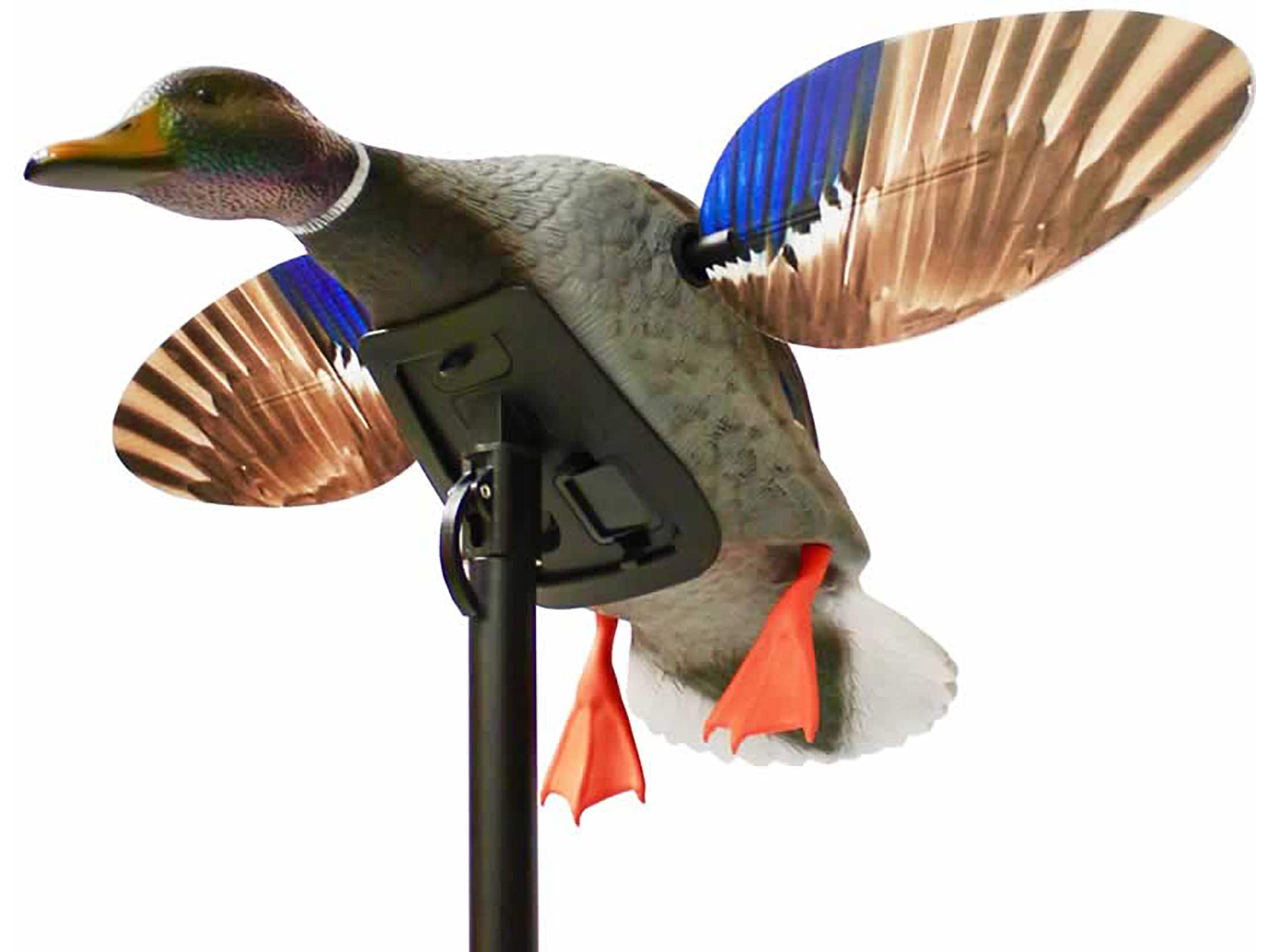 MOJO Elite Series Mini Mallard Drake Motion Duck Decoy